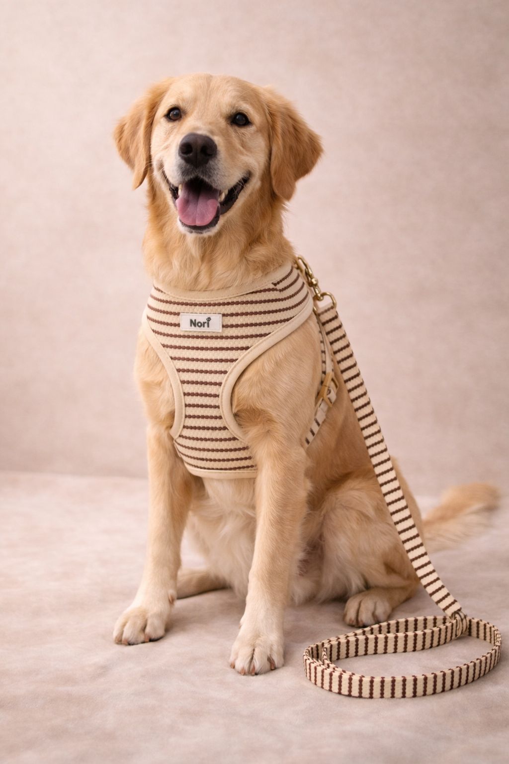 Harnais et Laisse pour chiens et chats - Noya