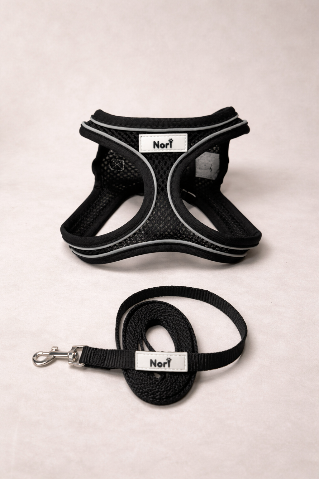 Harnais et Laisse pour chiens et chats - Ava Black