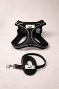 Harnais et Laisse pour chiens et chats - Ava Black