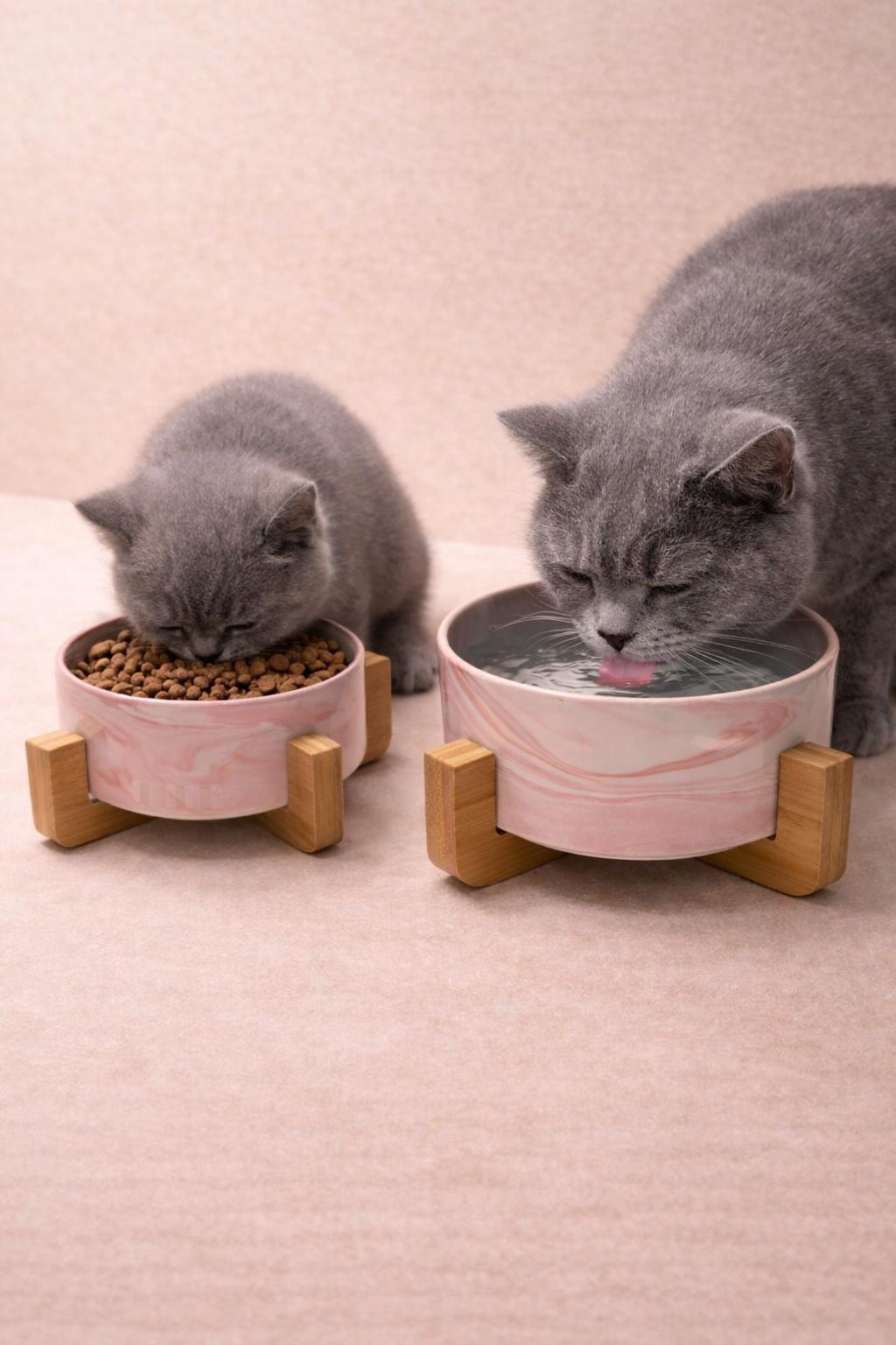 Gamelle Design en Céramique – Chat & Chien