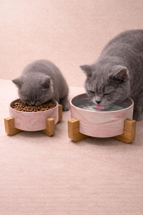Gamelle Design en Céramique – Chat & Chien