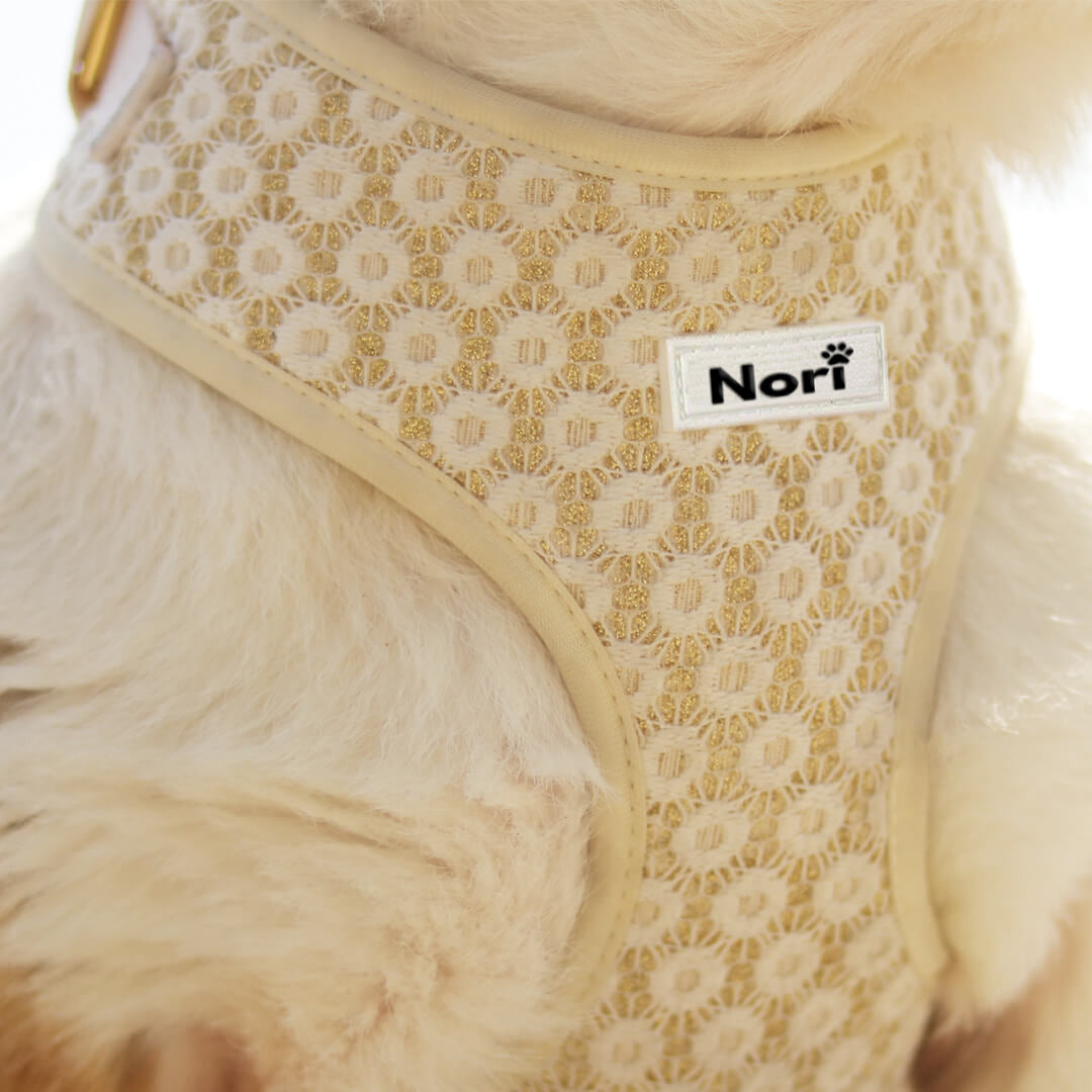 Harnais et Laisse pour chiens et chats - Elya