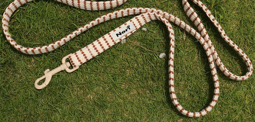 Harnais et Laisse pour chiens et chats - Noya