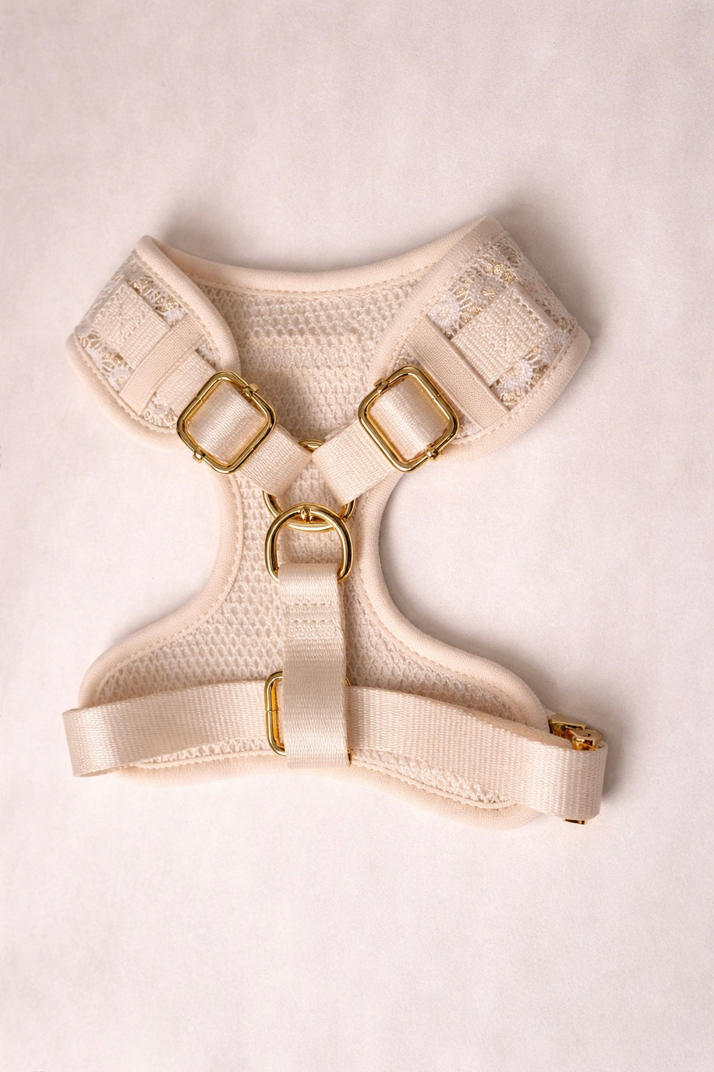 Harnais et Laisse pour chiens et chats - Elya