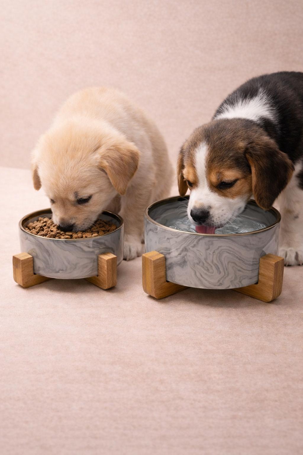 Gamelle Design en Céramique – Chat & Chien