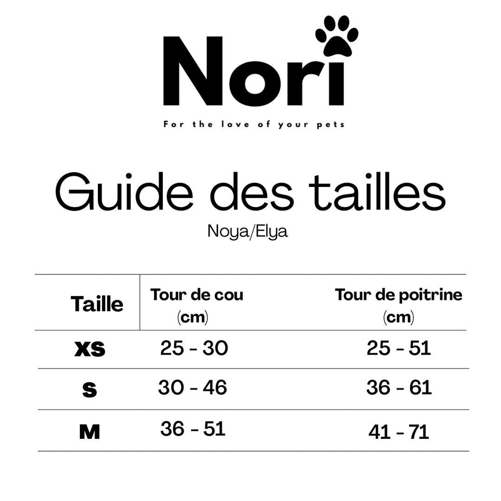 Harnais et Laisse pour chiens et chats - Noya