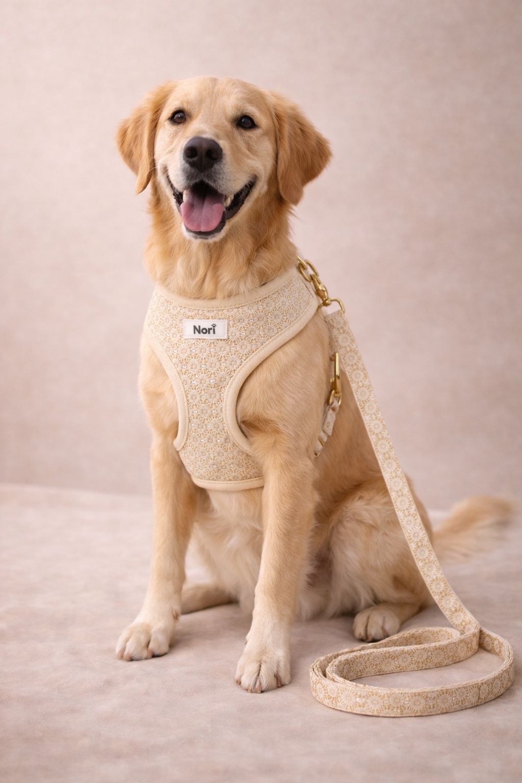 Harnais et Laisse pour chiens et chats - Elya