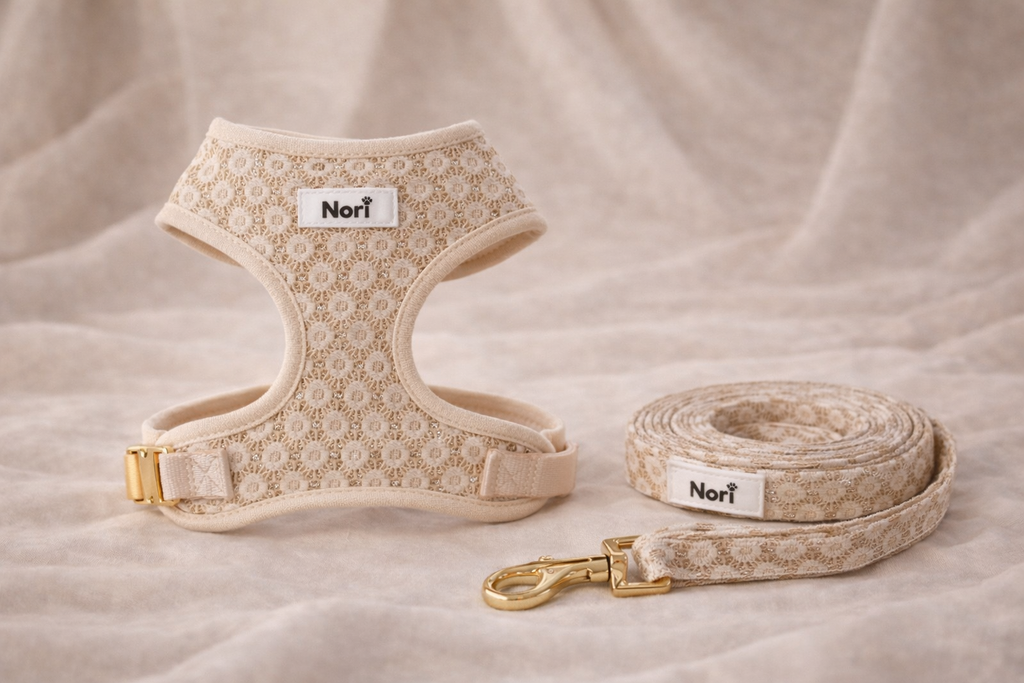 Harnais et Laisse pour chiens et chats - Elya