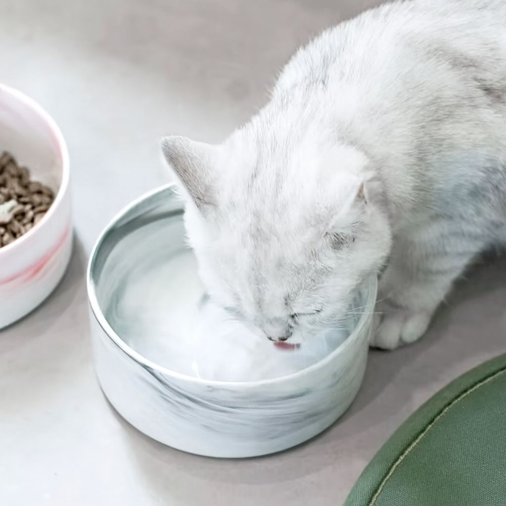 Gamelle Design en Céramique – Chat & Chien