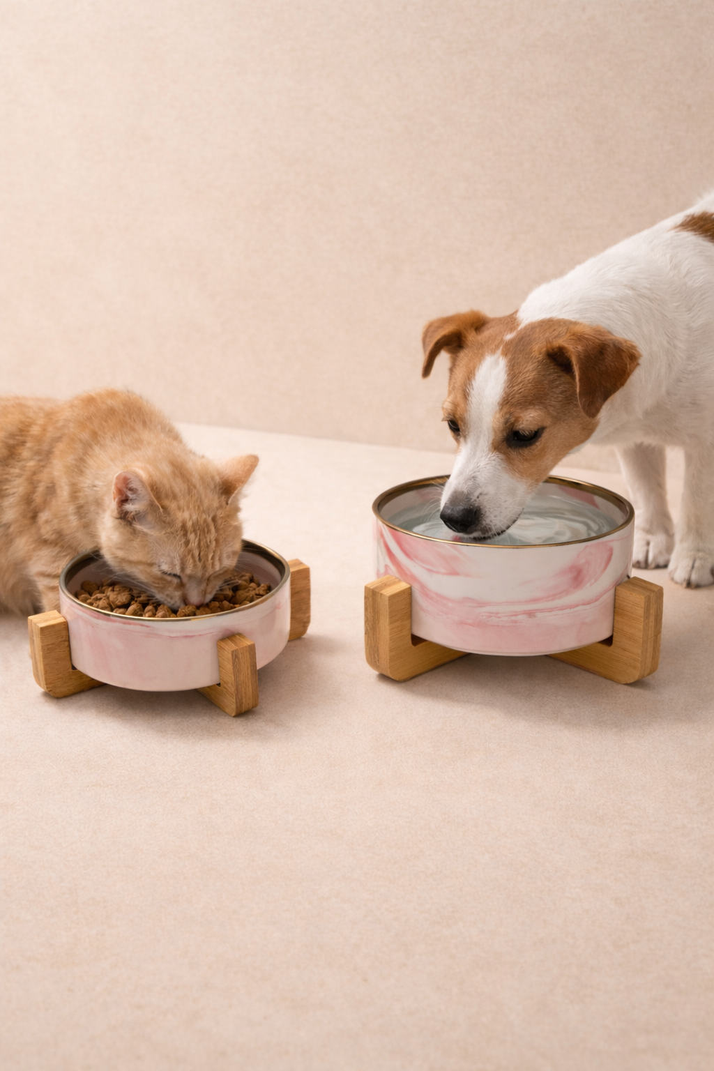 Gamelle Design en Céramique – Chat & Chien