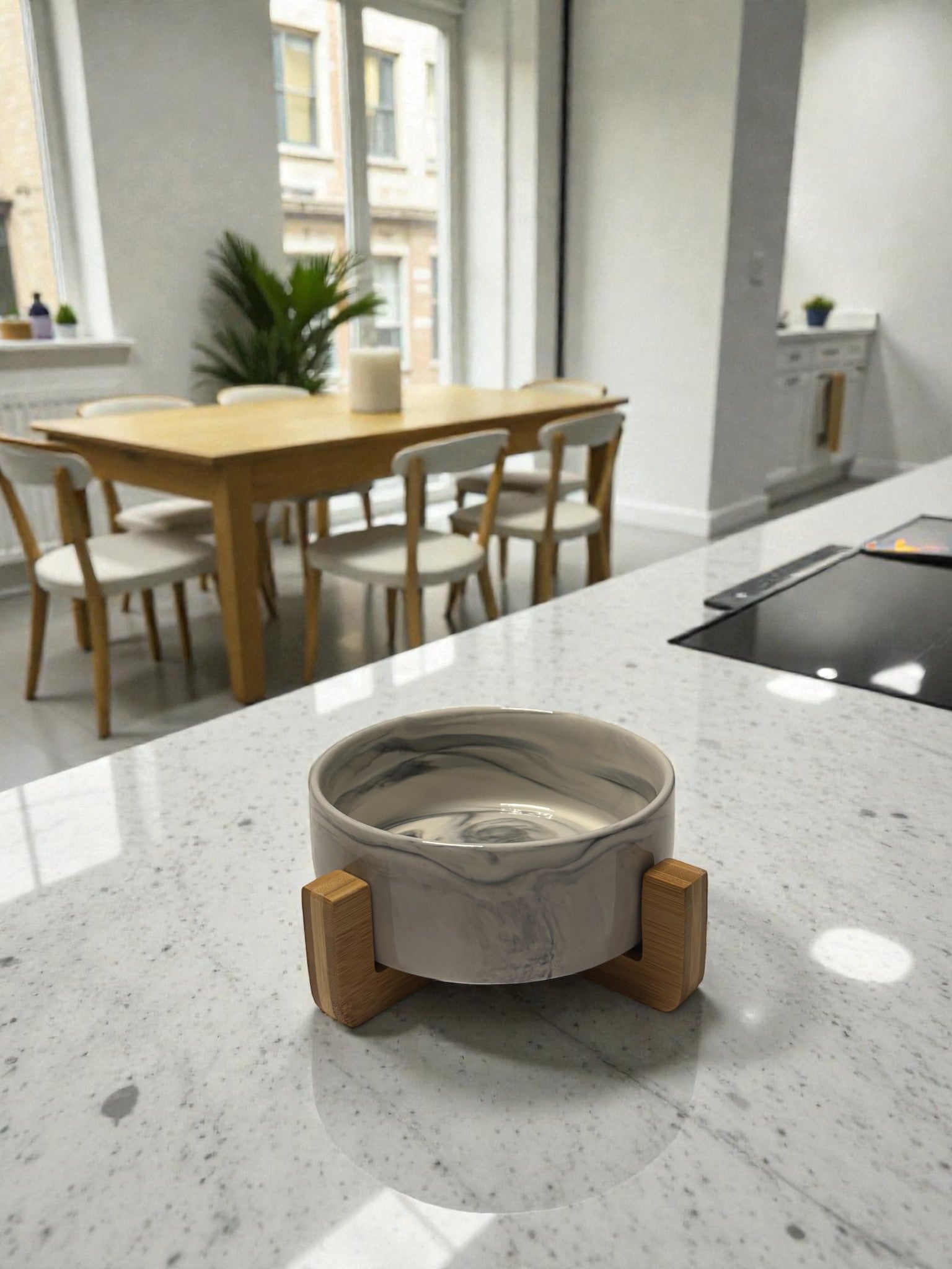 Gamelle Design en Céramique – Chat & Chien