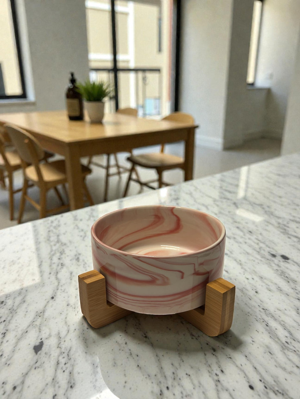 Gamelle Design en Céramique – Chat & Chien