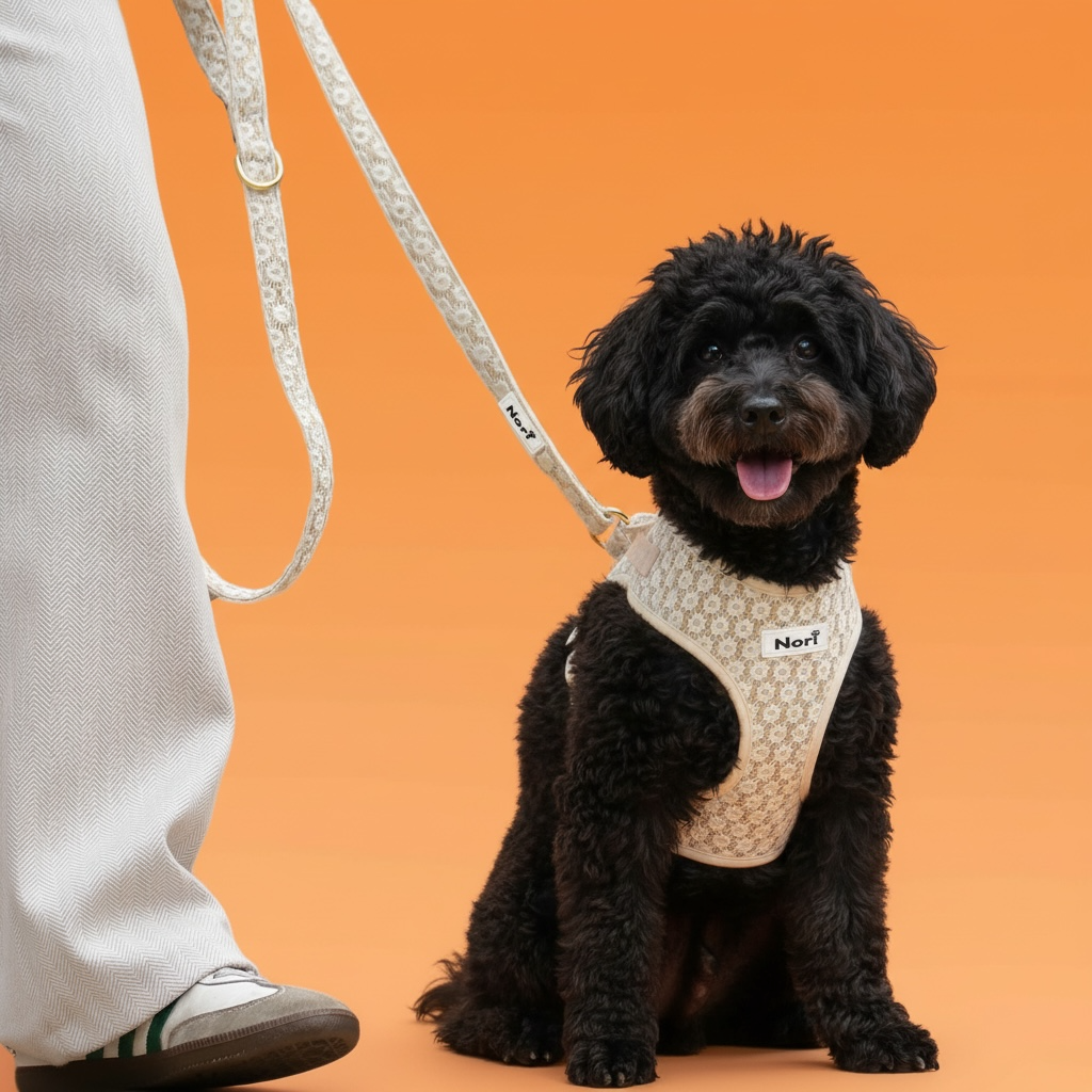 Harnais et Laisse pour chiens et chats - Elya